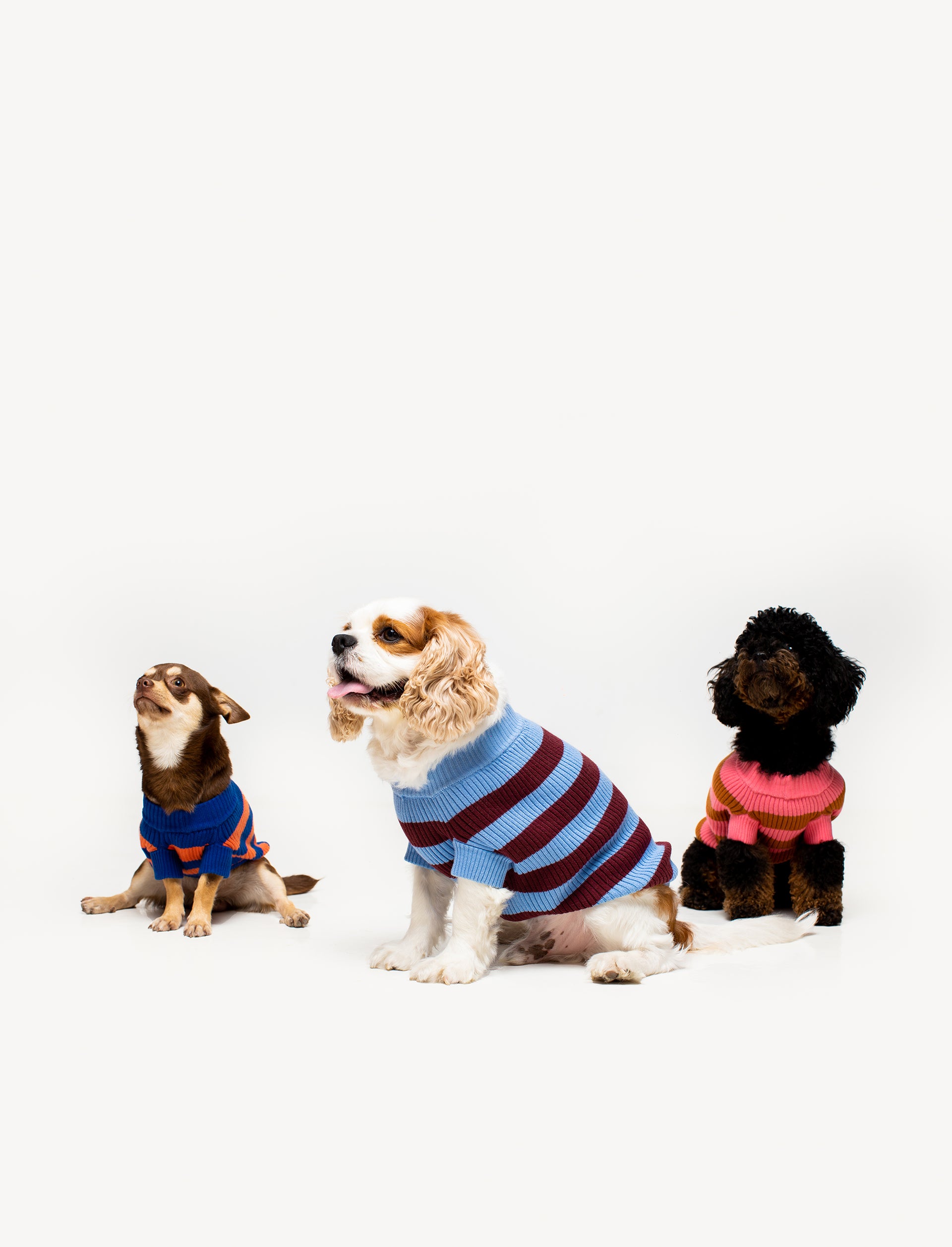 Ceci Knit Pet Sweater