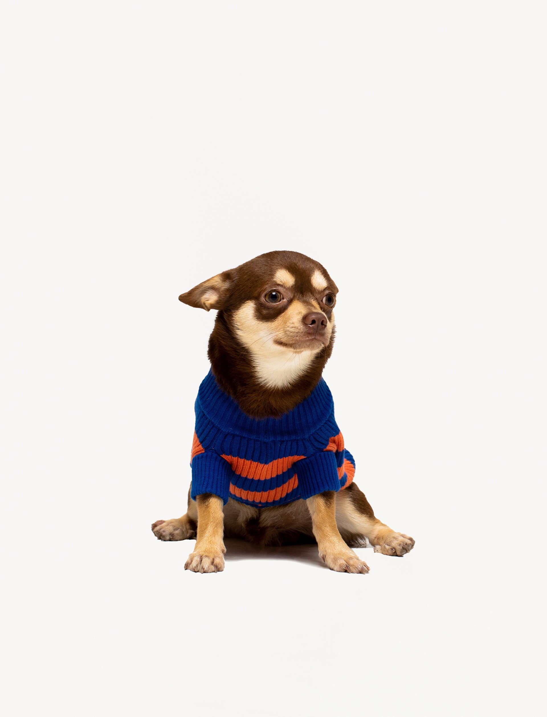 Ceci Knit Pet Sweater