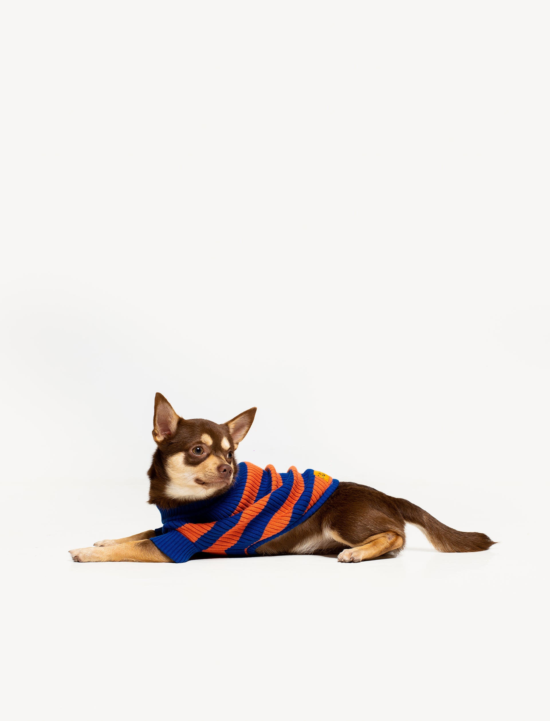 Ceci Knit Pet Sweater
