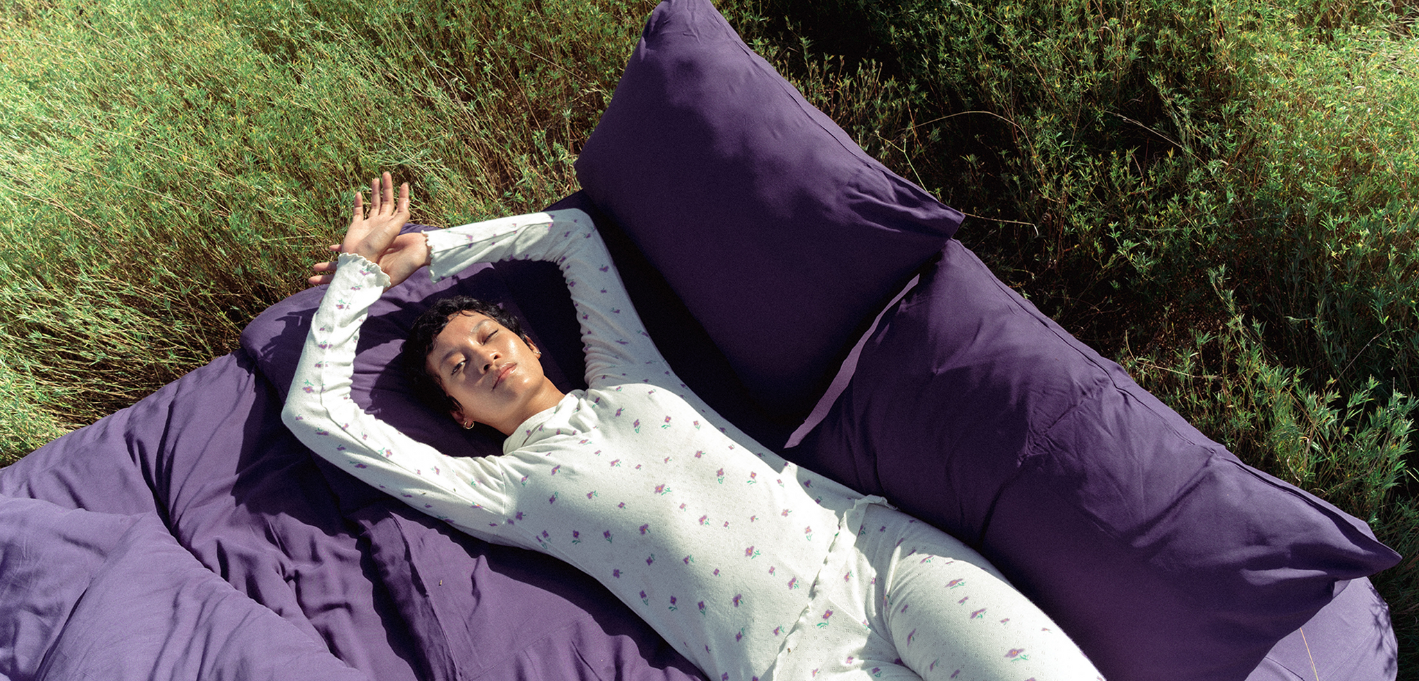 CREATE AN ACCOUNT TO ACCESS WILDFLOWER COLLECTION