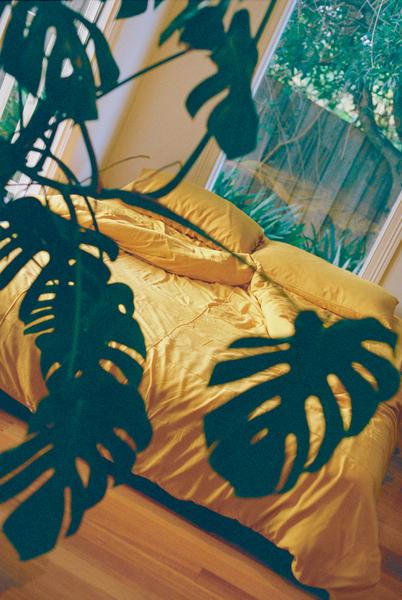 Marigold Bamboo Fitted Sheet